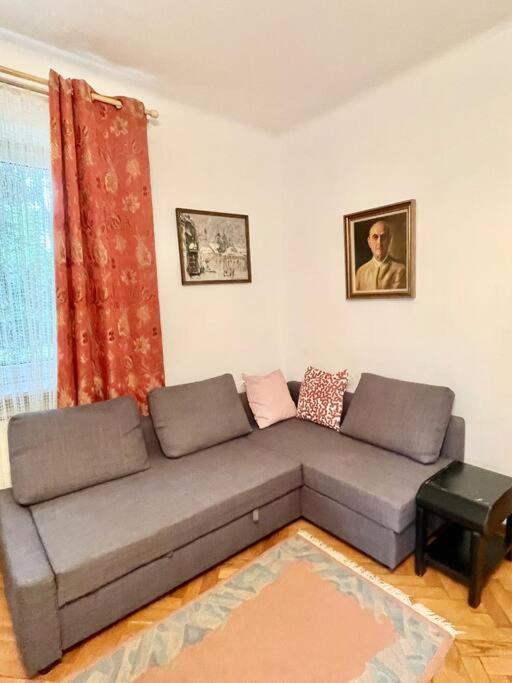 Beautiful With Garden In Milanowek